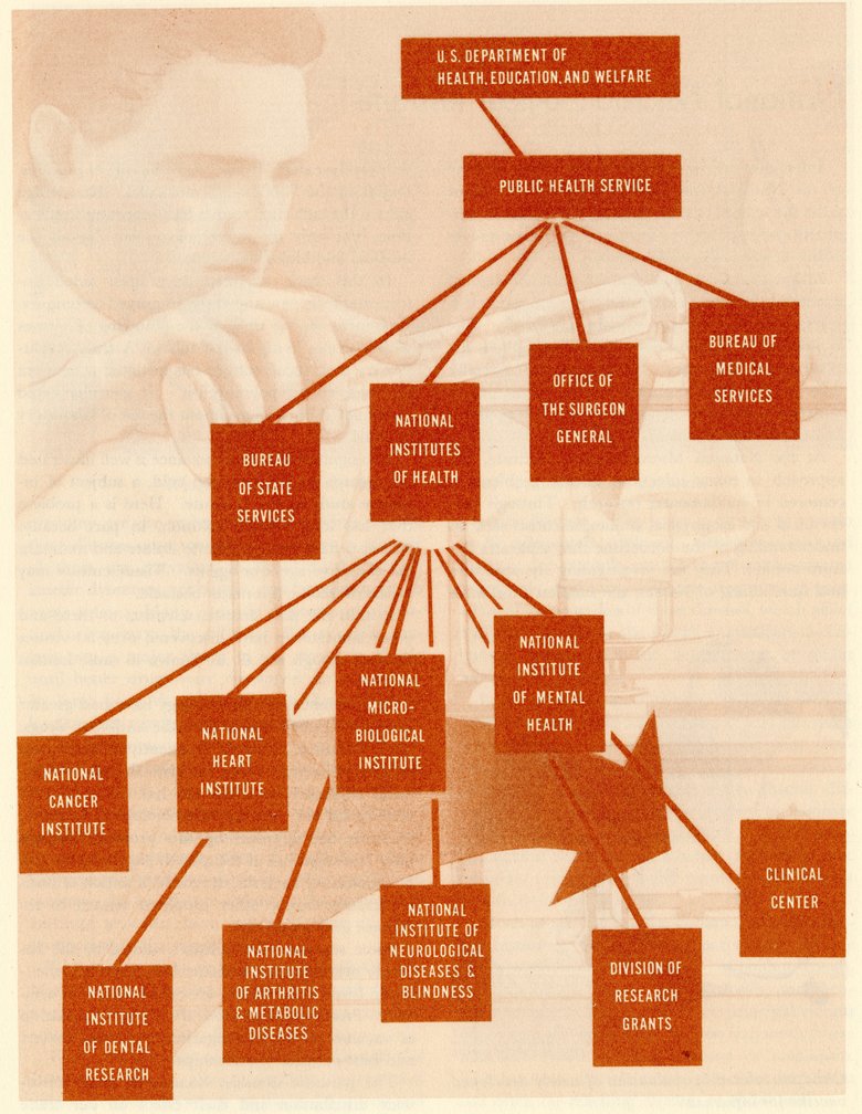 1954 Org chart