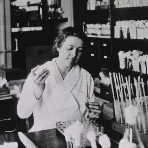 Evans, Alice Catherine is in the lab