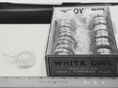 Wilton Earle Glassware Collection