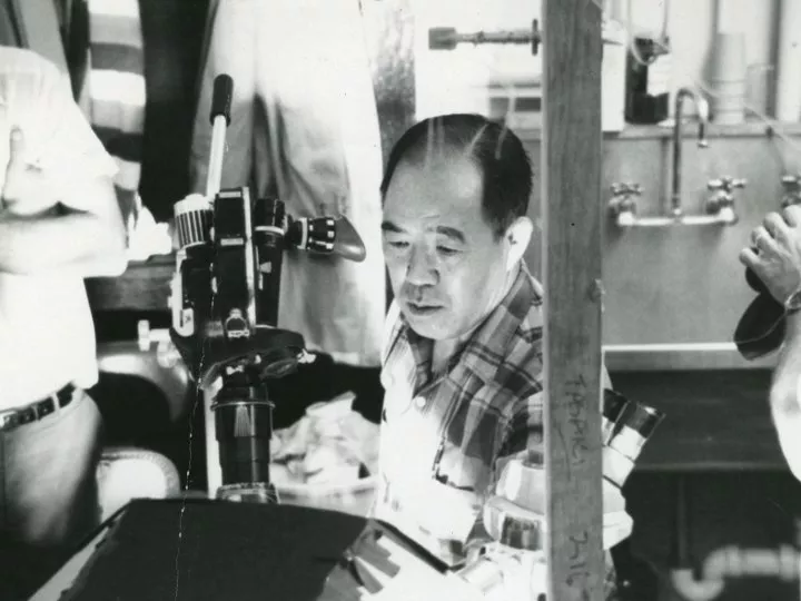 Ichiji Tasaki Collection